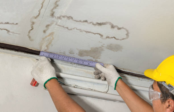 Reliable Mold Remediation contractor in Erwin, NC by Water Damage Irwin